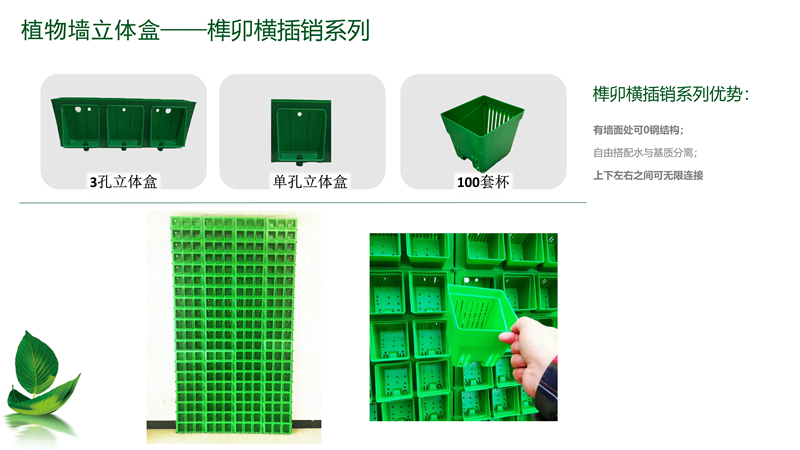 明宇立體綠化產品介紹-07 _6.png